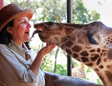 Priscilla meeting giraffe 